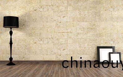 北京(jing)傢(jia)政公(gong)司(si)牆壁髮(fa)黴(mei)怎(zen)麼辦.jpg